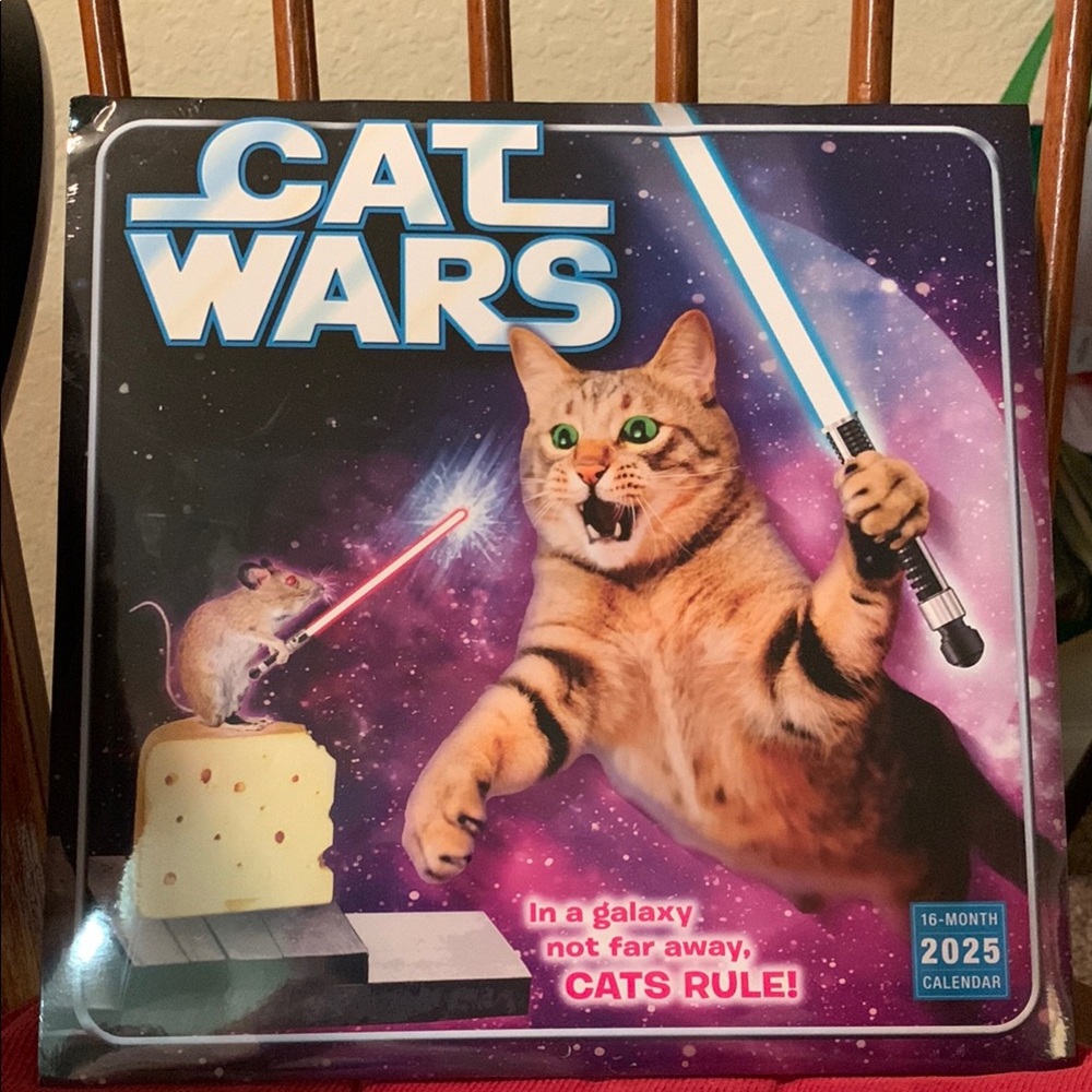 Orange Tabby Cat in Action with Lightsaber